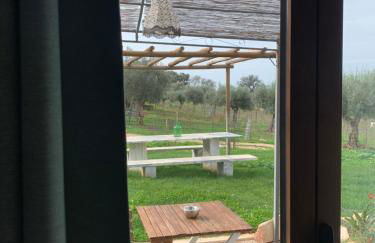 Herdade Da Maridona - Agroturismo - Foto 48