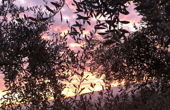 Agriturismo Poggio alla Pieve - Photo 63