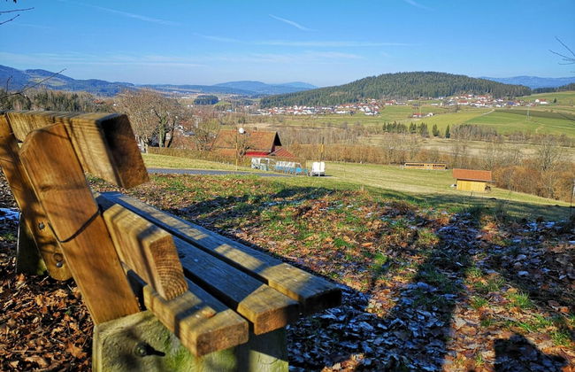 Cozy Apartment in Ruhmannsfelden With Swimming Pool - Photo 69