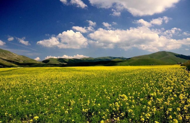 Agriturismo Monti Sibillini Camperato - Photo 21