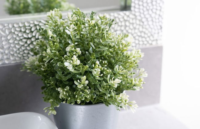 Luxury house with 3 bedrooms and 1 office - Photo 37