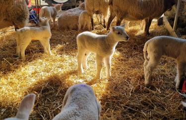 Hillside Haven, panoramic views Nr Bakewell - Photo 23
