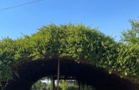 Apartamento Cebada - Foto 10