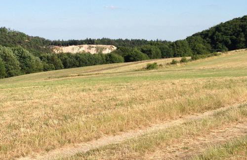 Das Alte Forsthaus - Foto 25