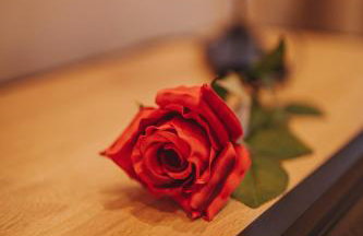 Le Desirella gite De Charme Spa - Foto 16