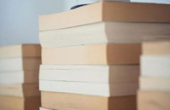 L'abri de Saint-Germain, between lake and mountains - Foto 15