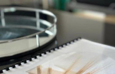 2 Bed Entire Upper Cottage Flat in Central Glasgow - Foto 15