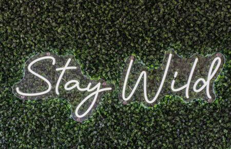 The Black Sands I Outdoor Theatre I Game Room I TV - Foto 23