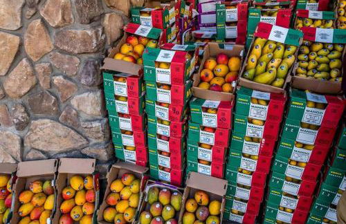 3-bedrooms Journal Square near NYC - Foto 23