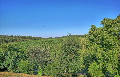 Sole Nel Prato - Foto 19