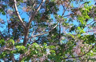 Andalusian Pool Parties Music & Magic - Photo 20