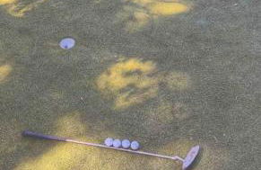 Cute Cottage with 3 min walk to beach with bikes! - Foto 16