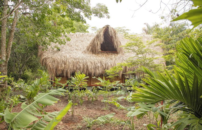 Hacienda Boutique - Photo 42