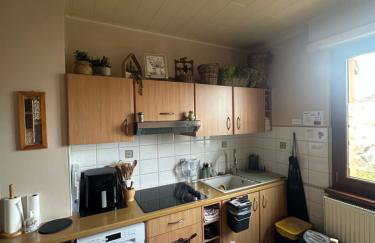 Grand appartement au cœur de la région alsacienne - Foto 49