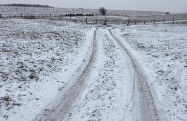 Tilia authentic home, butikowe apartamenty nad morzem - Photo 62