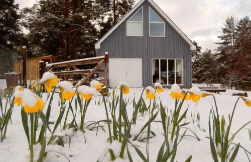 The Bothy, Nethy Bridge - Foto 18