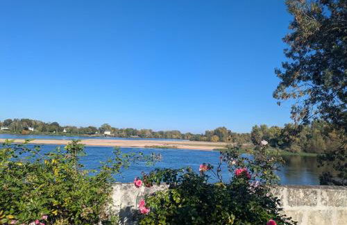Le charme en bord de Loire - Photo 23