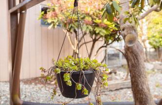 Waterfront Oasis, Private Dock and Lake Views - Foto 32