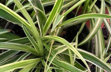 Into The Green Apartment - Foto 28