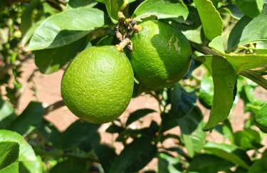 Villa María, más que pernoctar - Foto 28