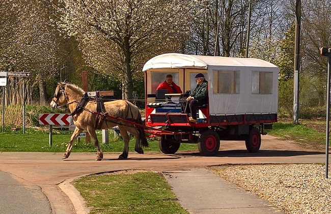 Vakantiewoning Fossee - Foto 21