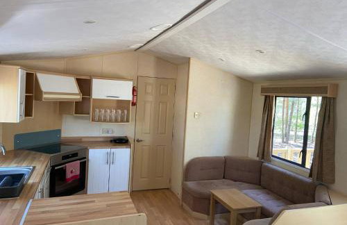 Holenderki na Zielonych Wzgórzach, Łowyń - Foto 39