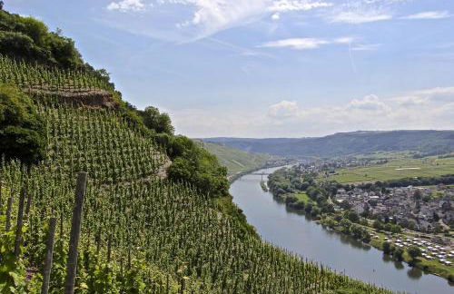 Weingut Rebenhof - Foto 6