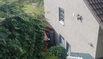 Apartment Haus Wiesental by Interhome - Foto 3