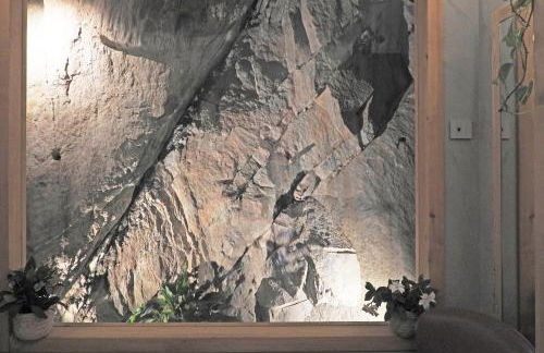 Green Chalet Scalotta - Nature Relax Lake view with private Jacuzzi and Spa - Foto 11