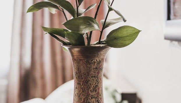 Lakshmi Alekseevskaya - Foto 2, Habitación