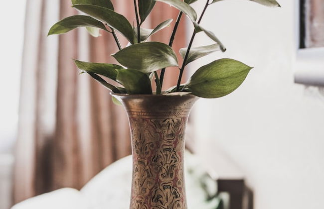 Lakshmi Alekseevskaya - Photo 2