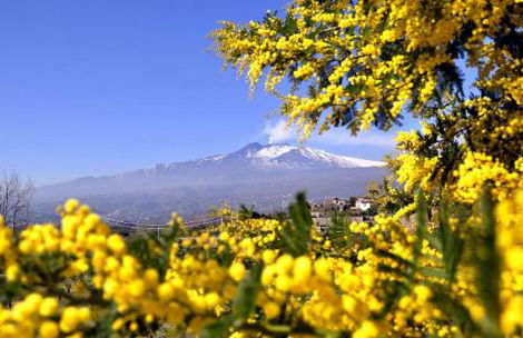 Don Ciccio's House - Foto 1