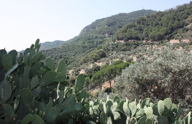 Azienda Agrituristica Le Puzelle - Foto 49