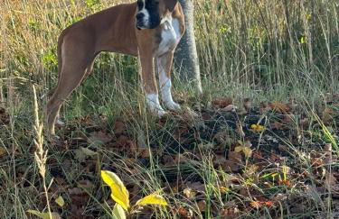 Moorparadies FRI-Südliches Friesland - Foto 17