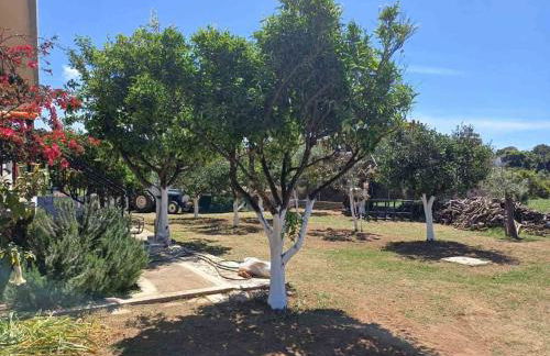 Sofia's Yard House - Foto 55