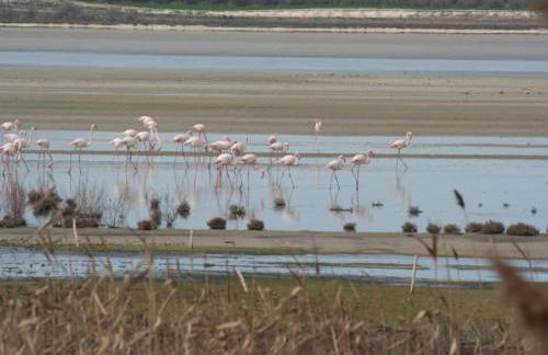 Luxurious Villa in Loja With Swimming Pool - Foto 54