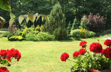 Dom w Sąpach - Foto 16