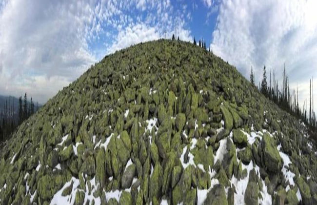 Modern Retreat in Nature - Foto 37