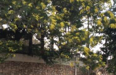 Villa Daurus - Foto 5