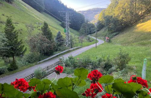 Bauernhaus im Münstertal - Foto 21