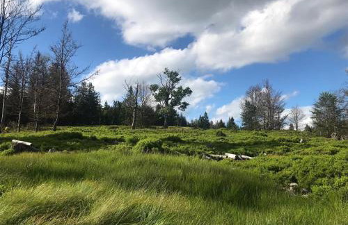 Wildnisresidenz am Nationalpark - FeWo mediterran - Photo 34