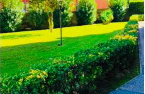 Cama Soul Apartment, free covered parking on the property - Foto 31