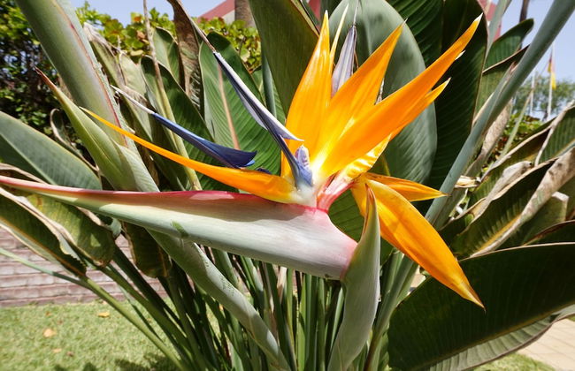 Apartamentos Ecuador - Foto 21