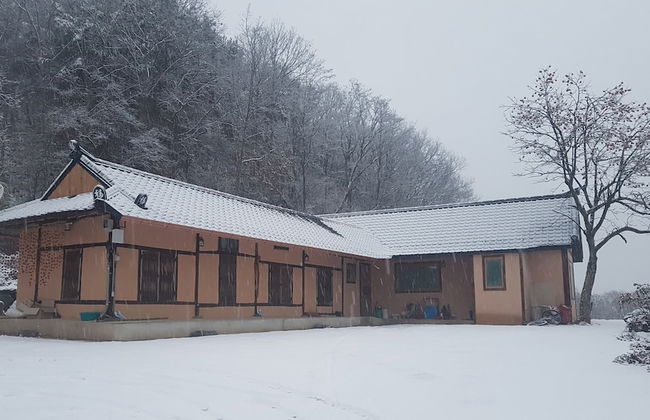 Moonlight House - Photo 32