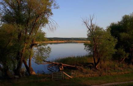 Ferienhaus Grüner Bungalow Kontaktloser CheckIn - Photo 44