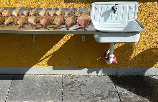 Apartment in Mirow by Lake Vilzsee - Photo 17