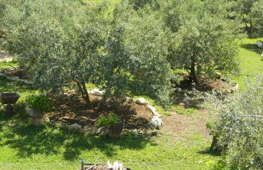 Bartulovi dvori - Foto 22