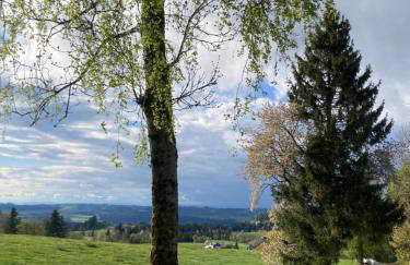 Ferienwohnung Hirsch im Allgäu - Foto 20