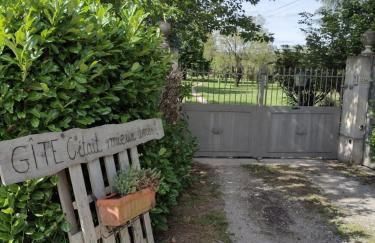 Gîte cocooning climatisé avec piscine et animaux - Foto 9