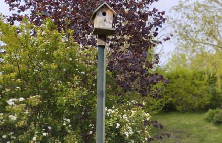 "Haus Landgang" für Naturliebhaber, strandnah, ruhig, mit großem Garten - Foto 35